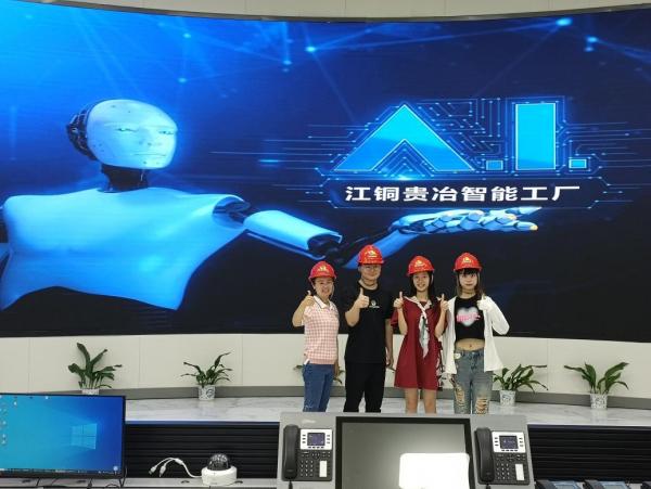 外國語學院開展企業(yè)數(shù)字化轉(zhuǎn)型調(diào)研暨訪企拓崗活動——聚焦計算機系統(tǒng)服務領域